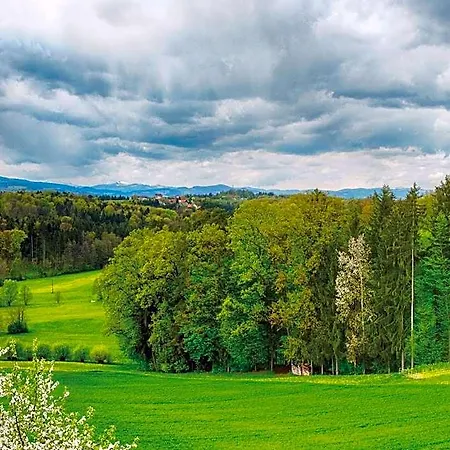 Fruehstueckspension Zanglhof Panzió 3*