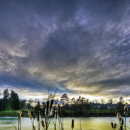 Bed & Breakfast Fruehstueckspension Zanglhof