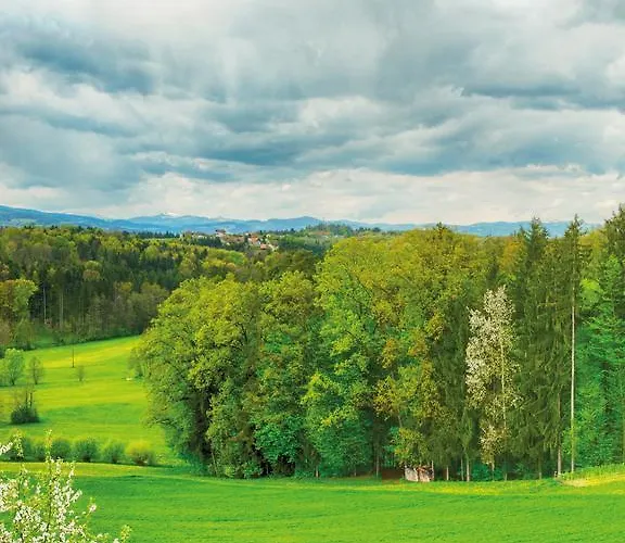 Bed & Breakfast Fruehstueckspension Zanglhof Lannach