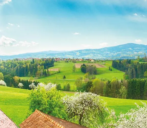 Bed & Breakfast Fruehstueckspension Zanglhof Lannach